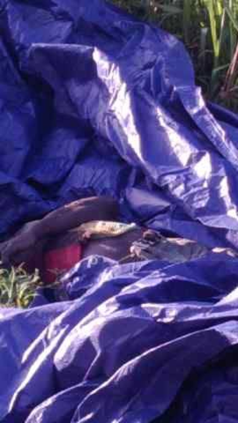 Man’s body found wrapped in tarpaulin in South Ruimveldt