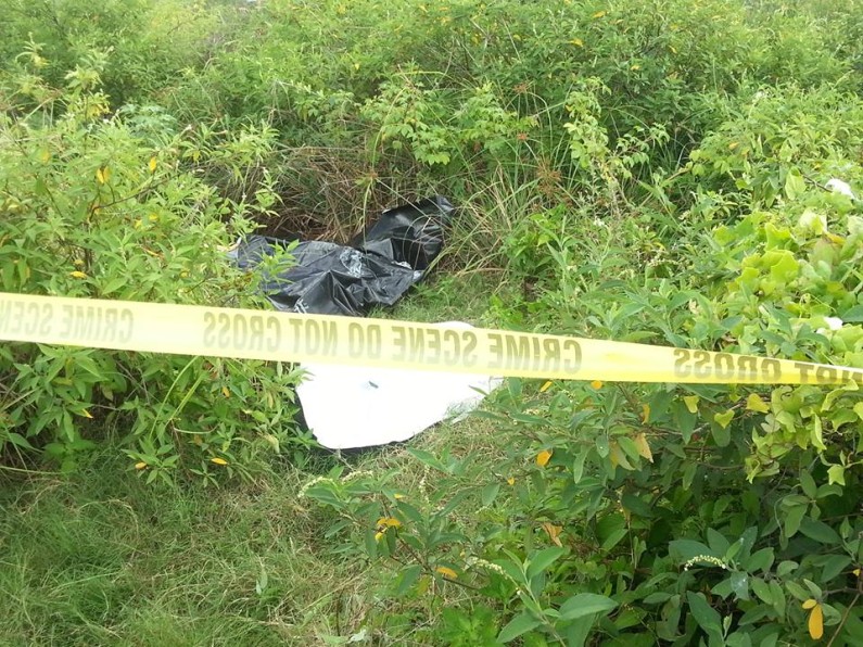 PME points to unidentified woman being stabbed to death