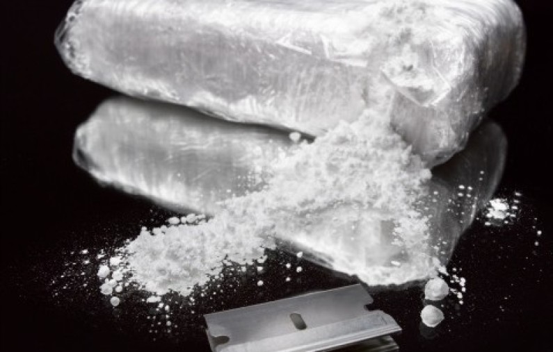 Guyanese woman busted in South Africa with over 20 lbs of cocaine in handbags