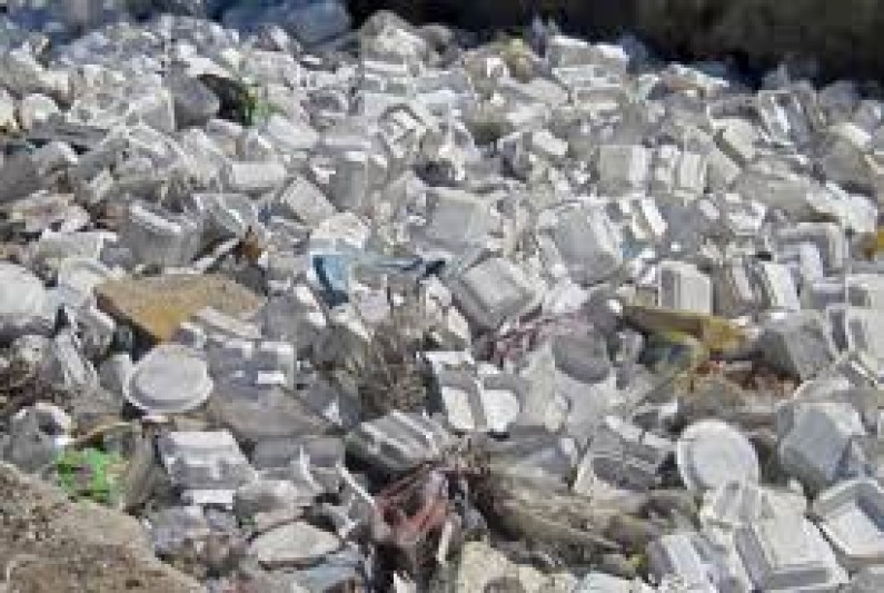 Styrofoam ban comes in to effect from January 1, 2016