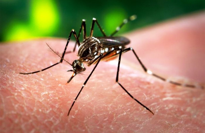 First case of Zika virus detected in Guyana  -Public Health Minister
