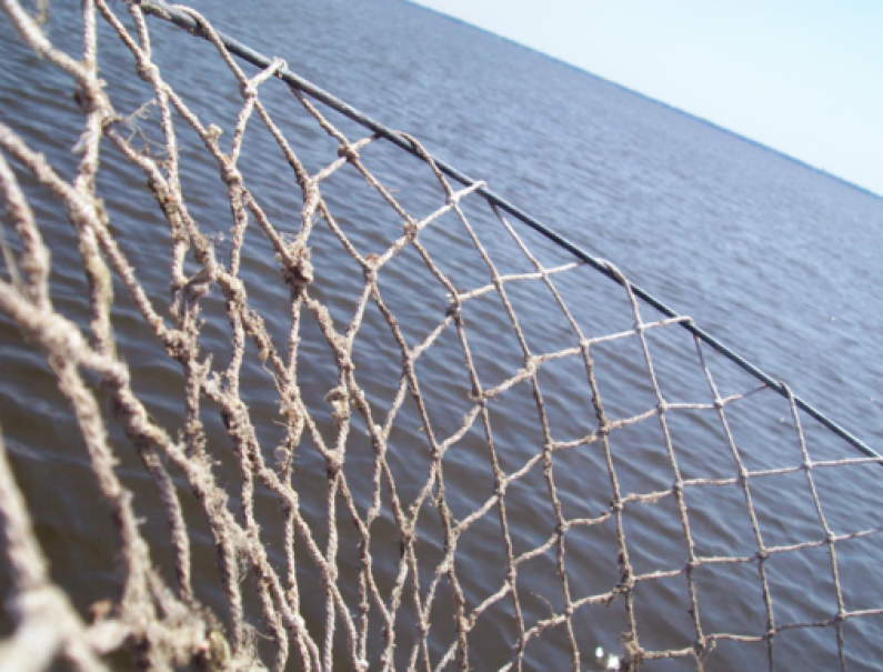 Fisherman found dead in net of fishing vessel