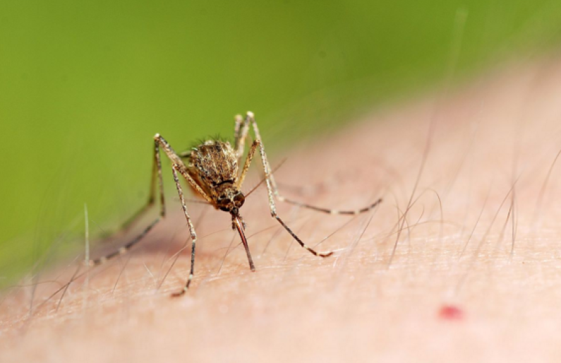 Guyana added to CDC’s warning list over Zika virus