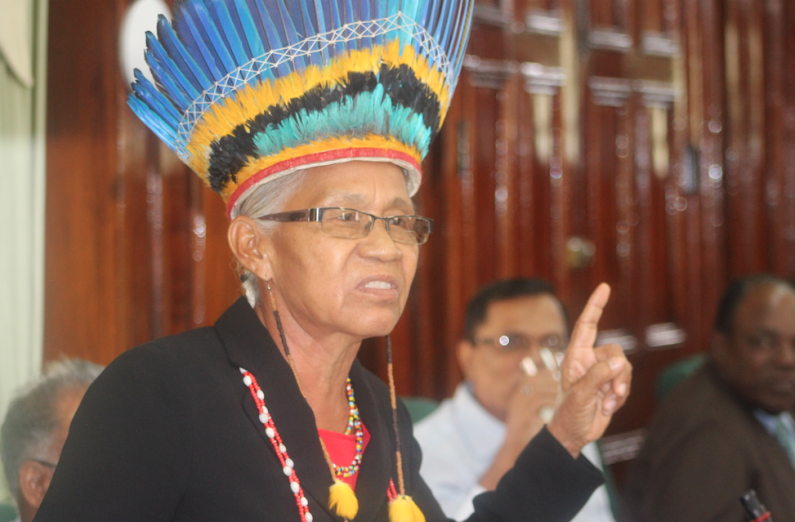 PPP MP tells Budget Debates that Amerindians have lost confidence in government