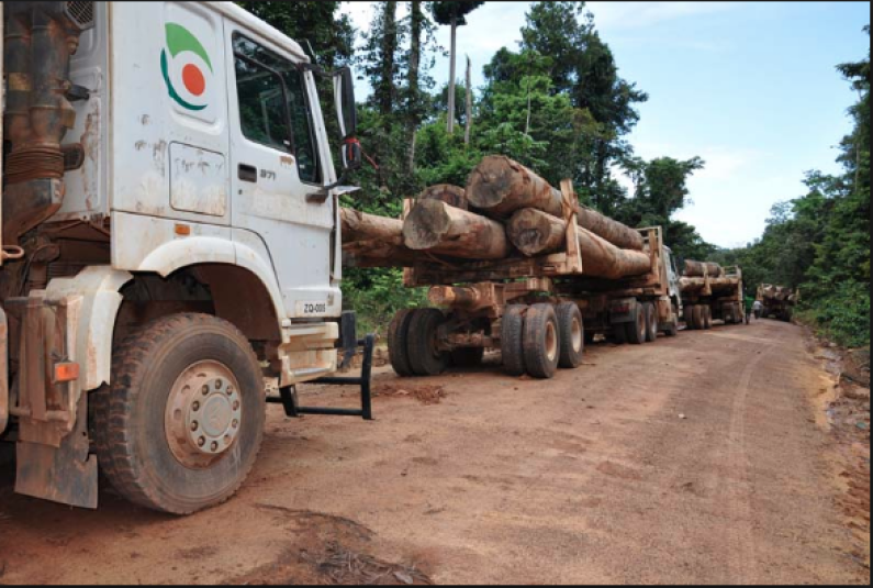 GFC moves to repossess Baishanlin’s forestry concessions as company fails to settle debts.