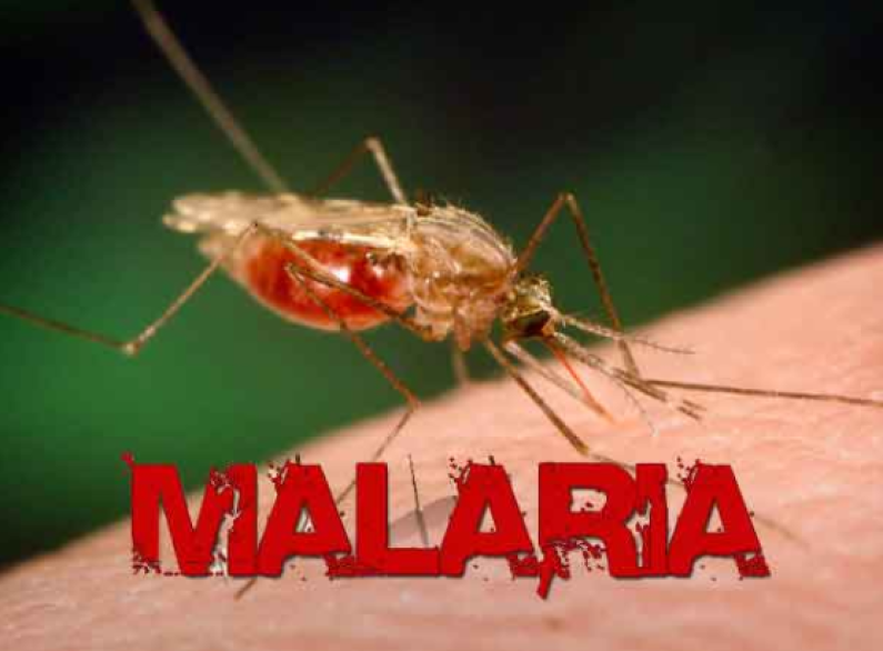 Efforts underway to tackle malaria spread in Hinterland regions