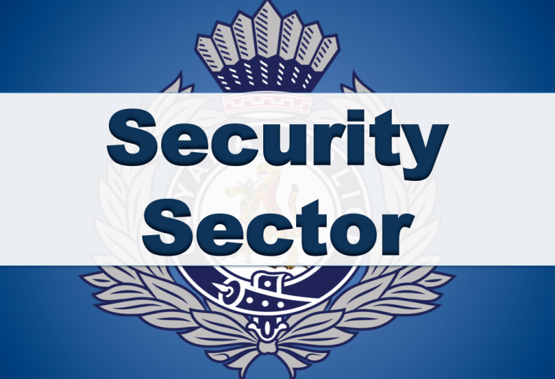 Security sector to receive $29.1 Billion in budgetary allocations focusing on recruitment and better equipment