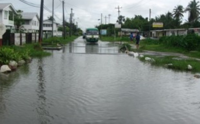 Critical drainage works set to begin in Ruimveldt and other flood prone communities