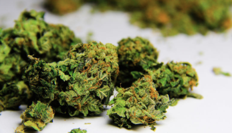 Cabinet has not examined issue of decriminalizing marijuana use  -Attorney General
