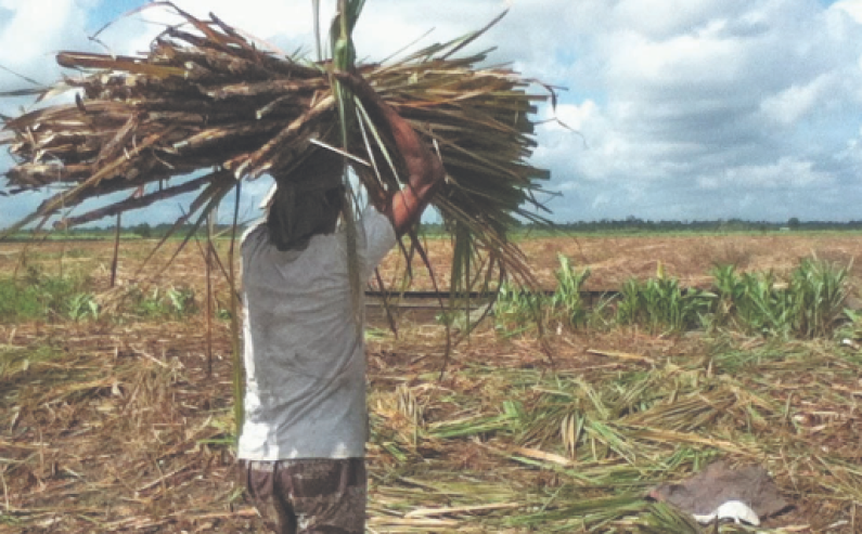 Retrenched sugar workers to receive remaining severance pay