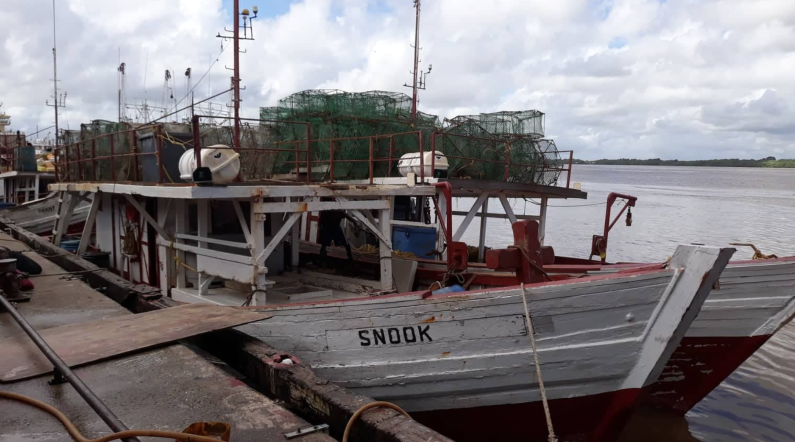 Labour Department launches probe into Fishing Tragedy at Sea