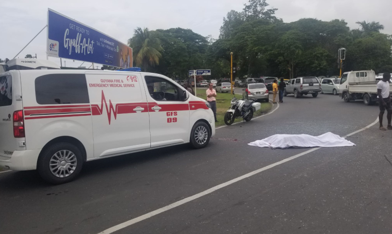 Motorcyclist dies in Vlissengen road smash up