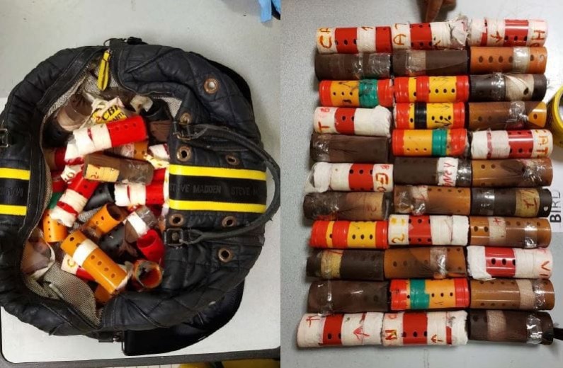 Man nabbed at JFK with 39 singing birds from Guyana in carry-on bag