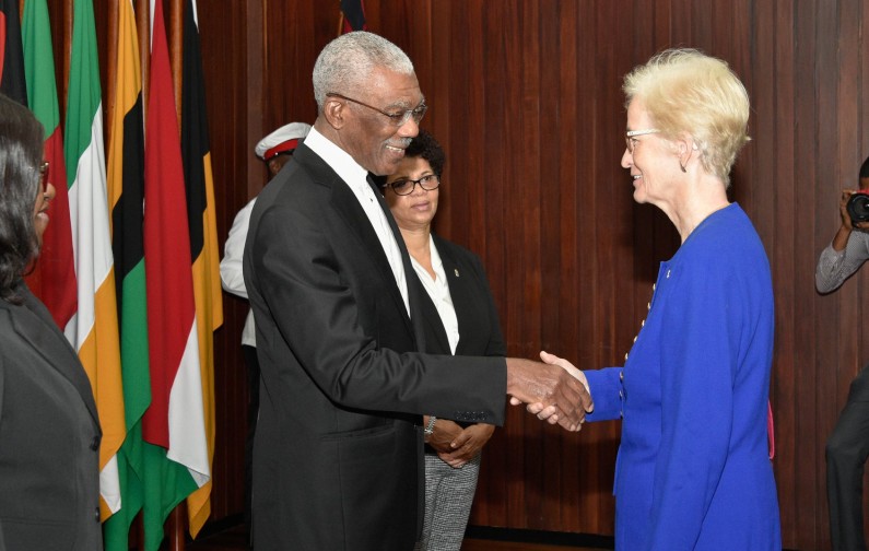 Guyana and Germany to continue strong bilateral relations