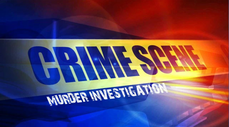 Porknocker murdered by woman over missing gun