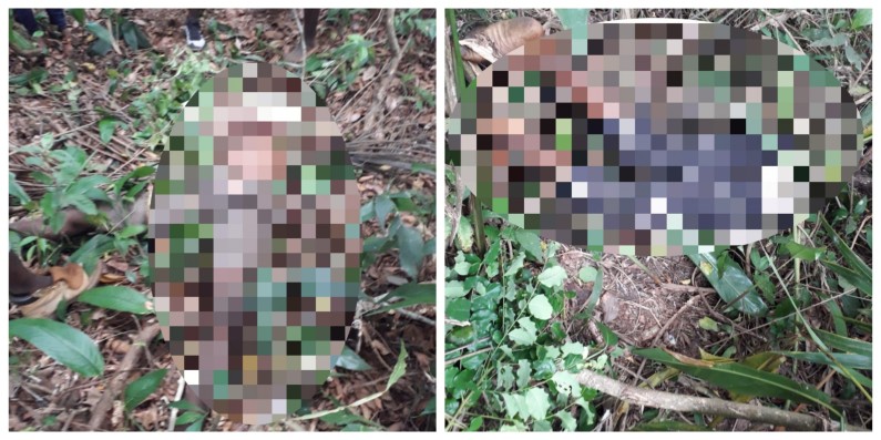 BREAKING: Teenage cousins found murdered in Cotton Tree Backdam in Berbice