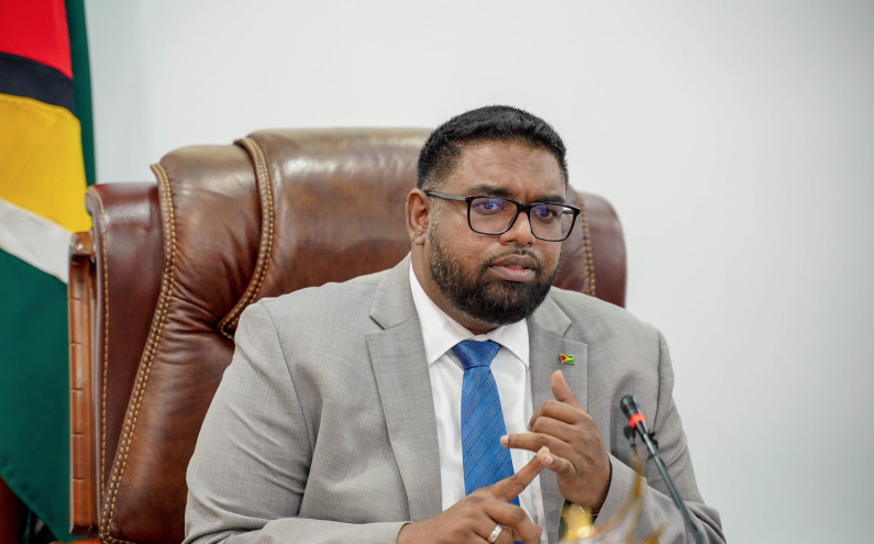 “Professionals” at GECOM Secretariat failed Guyana at last elections  -Pres. Ali