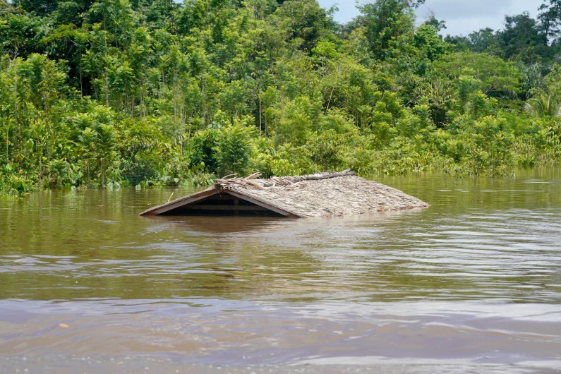 Guyana to seek international help to deal with “worst flooding disaster” -Pres. Ali
