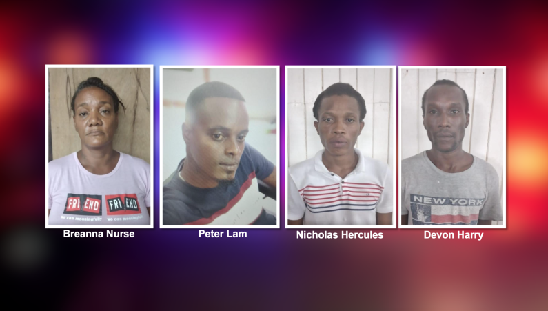 Four to face murder charges over death of Sophia youth