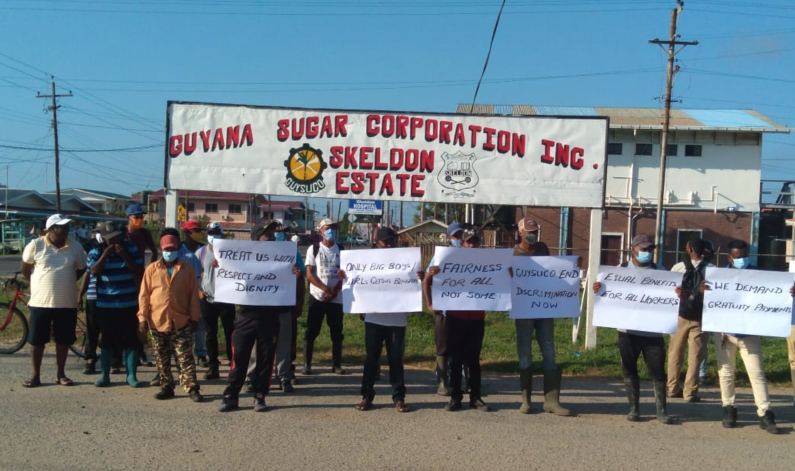 Skeldon sugar workers protest for equal benefits