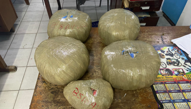 Men busted in Meadowbank with 18lbs marijuana