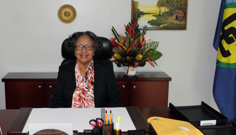 CARICOM SG urges regional leaders to do more to advance community’s work