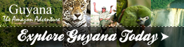 visit guyana