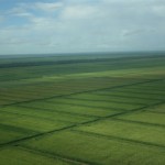 Trinidad farmers to get 10,000 acres of Guyana land for agriculture 