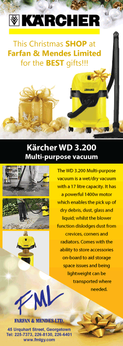 FML-Karcher web banner (Christmas)