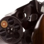 National Assembly passes new gun laws