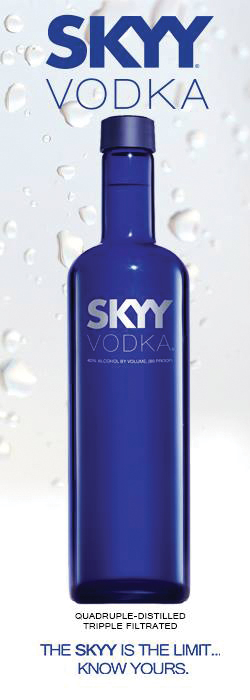 skyvWEBSITE_Ad-3