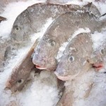 U.S woman busted with cocaine in frozen fish at CJIA