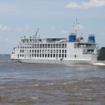 Captain loses control of ferry and runs into bushes; Persons stranded