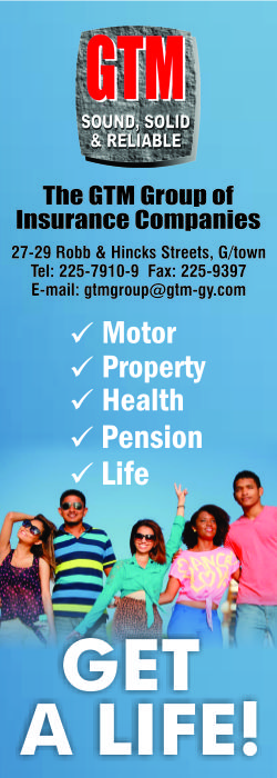 GTM – web ad -250×700 (1)