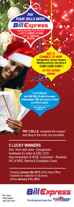 BX-Christmas-promo-250×700-web-ad