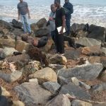 Man found dead on seawalls 