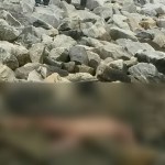 Woman’s nude body found at Turkeyen seawalls 