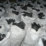 Cocaine busted in 40 ft container of charcoal at SilverHill