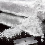 Guyanese woman busted in South Africa with over 20 lbs of cocaine in handbags
