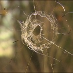 Taxi driver shot dead through window in his own home