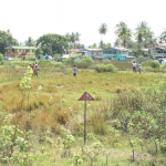 Central Housing and Planning Authority warns land grabbers again about illegal squatting