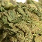 6,000 kilogrammes of marijuana found on fishing boat traveling to Guyana from Jamaica