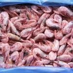 Guyanese man held for shrimp cocaine bust travelled to NYC to clear shipment