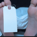 Woman and baby found dead in house died from starvation and pneumonia