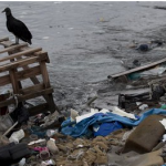Rio 2016: Organisers’ pollution challenge in Guanabara Bay