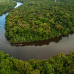 Guyana adds two million more hectares of land and waterways to conservation efforts