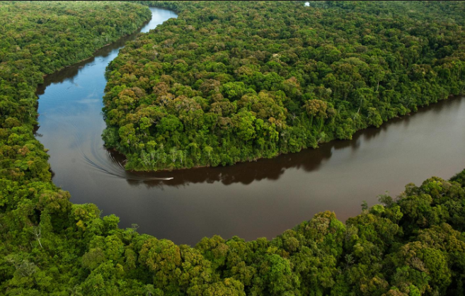 Guyana adds two million more hectares of land and waterways to ...