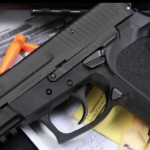 Only Firearms Licensing Board could review or revoke gun license