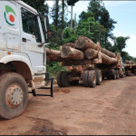 GFC moves to repossess Baishanlin’s forestry concessions as company fails to settle debts.