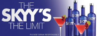 skyy-blue-banner-320×119